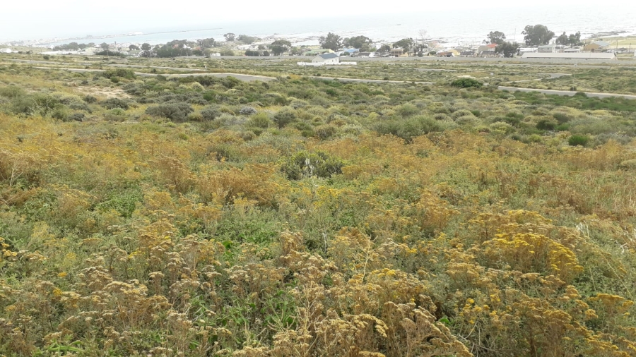 0 Bedroom Property for Sale in St Helena Views Western Cape